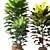 Tropical Elegance: Cordyline & Codiaeum 3D model small image 3