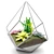 EcoSphere Glass Terrarium 3D model small image 1