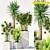 EcoGreen Plants 188: 3D Models & FBX 3D model small image 1