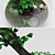 Stunning Florarium Bonsai: Perfect for Any Space 3D model small image 2