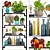 Tropical Decor Set: Shelf with Statuette, Plants, Flowers 3D model small image 1