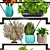 Tropical Decor Set: Shelf with Statuette, Plants, Flowers 3D model small image 2