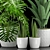 Geometric Pot Plant Trio 3D model small image 2