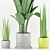 Geometric Banana Plant in Concrete Pot 3D model small image 2