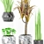 Exotic Pot Set with Rare Plant 3D model small image 2