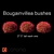  Vibrant Bougainvillea Bushes 3D model small image 1