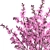 Cherry Blossom Delight 3D model small image 2