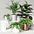 Versatile 3D Plant Collection 3D model small image 4