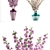 Cherry Blossom Bouquets: Elegant Floral Collection 3D model small image 2