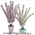Cherry Blossom Bouquets: Elegant Floral Collection 3D model small image 3