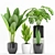 Green Oasis: Palm, Sansevieria, Banana Plant+Pot 3D model small image 1