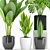 Green Oasis: Palm, Sansevieria, Banana Plant+Pot 3D model small image 2