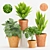 Tropical Plant Trio in Terracotta 3D model small image 1