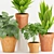 Tropical Plant Trio in Terracotta 3D model small image 2