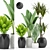 Tropical Plant Bundle: Palm, Dracaena, Marginata 3D model small image 1