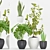 65-Plant Collection: Sansevieria, Cylindrical, Ficus & Monstera 3D model small image 1