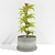 Decorative Metal Pot Plant 3D model small image 1