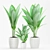 Tropical Trio: Strelitzia Reginae Set 3D model small image 1