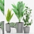 Modern Indoor Plant Collection 3D model small image 1
