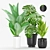 Tropical Greenery in Modern Pot 3D model small image 1