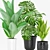 Tropical Greenery in Modern Pot 3D model small image 2