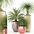 101 Awesomeplanters: Perfect Pots for Your Plants 3D model small image 1