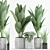 Tropical Plant Mix: Strelitzia, Banana & Sansevieria 3D model small image 1