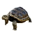 Bronze Turtle Figurine - Exquisite Artwork 3D model small image 2