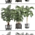 Tropical Oasis Collection: Howea forsteriana 3D model small image 3