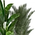 Tropical Plant Collection: Bananas, Palms, and More! 3D model small image 2