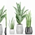 72 Plant Set: Strelitzia Reginae, Sansevieria Cylindrical 3D model small image 1