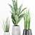 72 Plant Set: Strelitzia Reginae, Sansevieria Cylindrical 3D model small image 2