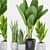 Tropical Greenery Collection: Plant 73 3D model small image 1