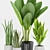 Tropical Greenery Collection: Plant 73 3D model small image 2
