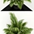 Assorted Plants Collection 107 3D model small image 2