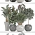 Indoor Collection of Plant Varieties 3D model small image 3