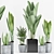 Tropical Greenery Collection: Aspidistra, Sansevieria & More 3D model small image 1