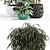 111 Unique Plants Collection 3D model small image 2