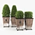 Elegant Boxwood Topiary - Perfect for Any Space 3D model small image 1