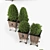 Elegant Boxwood Topiary - Perfect for Any Space 3D model small image 2