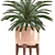 Indoor Plant Collection: Philodendron, Cycas, Alocasia 3D model small image 2