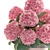 Romantic Pink Hydrangea Bouquet 3D model small image 2