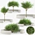 Vora Arquitectura Tree Bench: Combining Natural Beauty 3D model small image 1