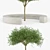 Vora Arquitectura Tree Bench: Combining Natural Beauty 3D model small image 2