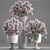 Floral Harmony Collection 3D model small image 3