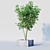 Elegant Osmanthus Tree: 3Dmax Corona 3D model small image 3