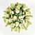 Elegant White Rose Bouquet 3D model small image 2