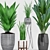  Botanical Bliss: Aspidistra, Sansevieria, Grass & Banana Plant with Stylish Pot 3D model small image 2