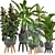 Exotic Plant Collection: Ficus, Monstera, Palm and more! 3D model small image 1