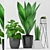 Trendy Green Plant Set 3D model small image 1